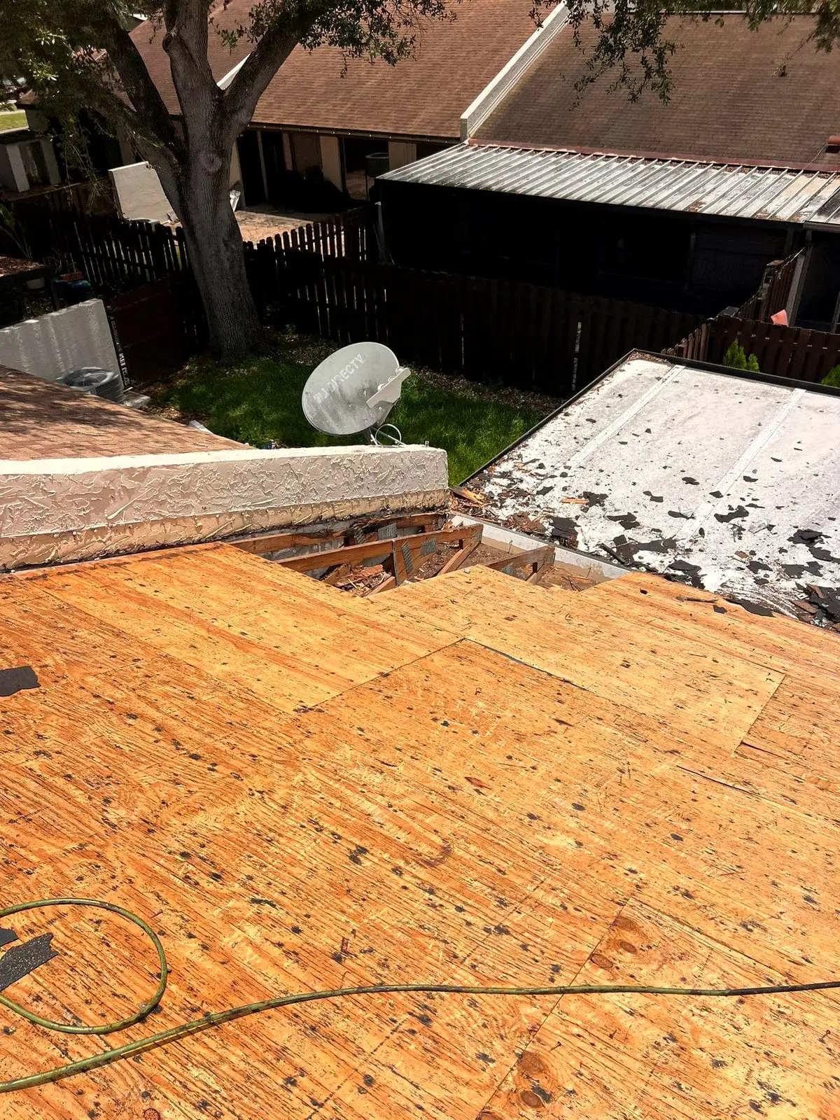 New plywood sheathing on a roof deck, with the rafters still open beside a wall