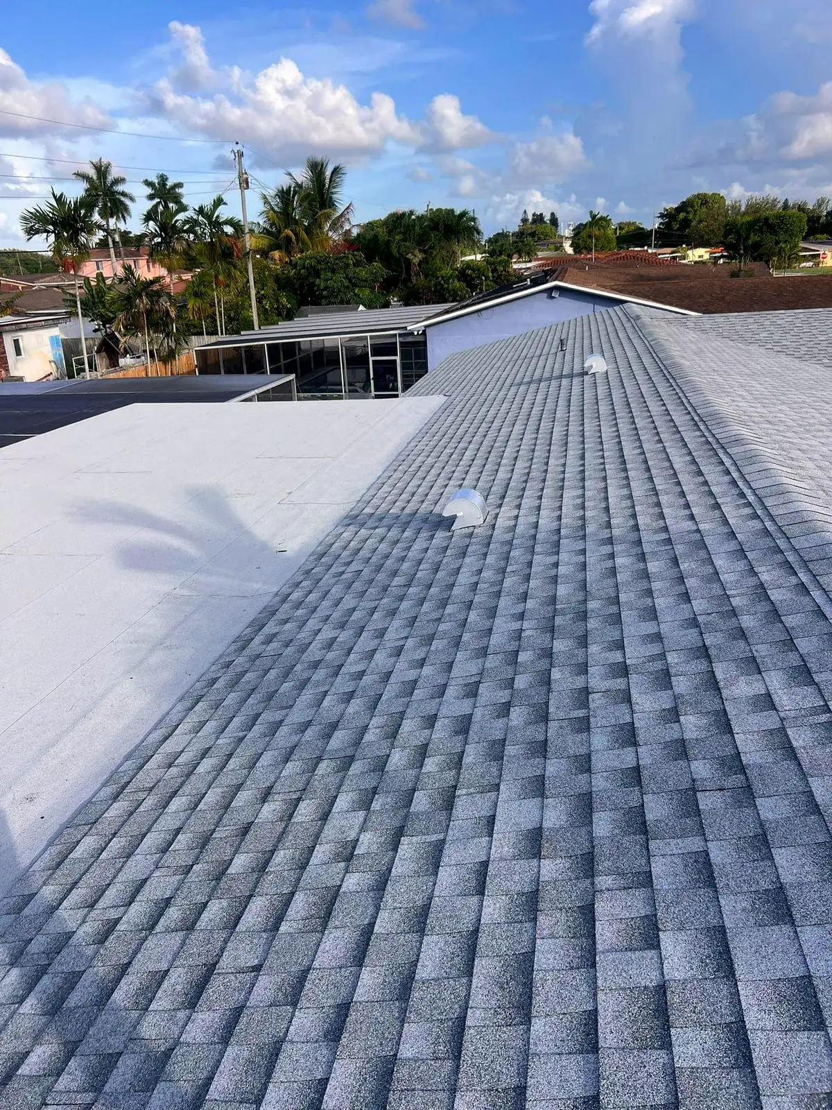 Finished gray shingle roof beside a white flat roof section, with palm trees beyond